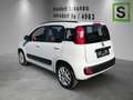 Fiat Panda PANDA Lounge 0,9 TwinAir Automatic Weiß - thumbnail 2