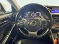 Lexus IS 300 300h Executive Parking Alb - thumbnail 10