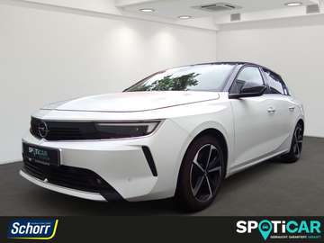 Plug-In-Hybrid Business Elegance