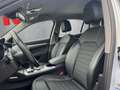 Alfa Romeo Stelvio Stelvio  2.2 t Sprint Q4 190cv auto Bianco - thumbnail 7