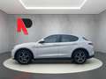 Alfa Romeo Stelvio Stelvio  2.2 t Sprint Q4 190cv auto Bianco - thumbnail 6