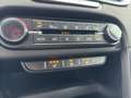 Kia Ceed / cee'd NIGHTLINE 1.0T DCT LED+NAVI+PDC+SHZ+KLIMA+BLUETOOT Nero - thumbnail 16