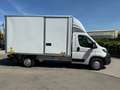 Peugeot Boxer FURG. SQUADRATO 435 L3 BLUEHDI 165cv CON SPONDA Bianco - thumbnail 4