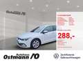 Volkswagen Golf VIII 1.5 TSI Life LED NAVI STHZ Wit - thumbnail 1