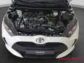 Toyota Yaris 1.5 Hybrid Comfort Tempomat Rückfahrkamera Blanc - thumbnail 14