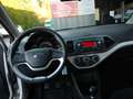 Kia Picanto 1.0 ACTIVE 5P Blanc - thumbnail 12