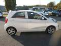 Kia Picanto 1.0 ACTIVE 5P Blanc - thumbnail 8