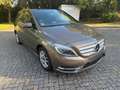 Mercedes-Benz B 200 Auto Navi Pano Xenon RCam Grau - thumbnail 5