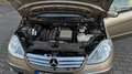 Mercedes-Benz A 170 A 170 Elegance Bej - thumbnail 12