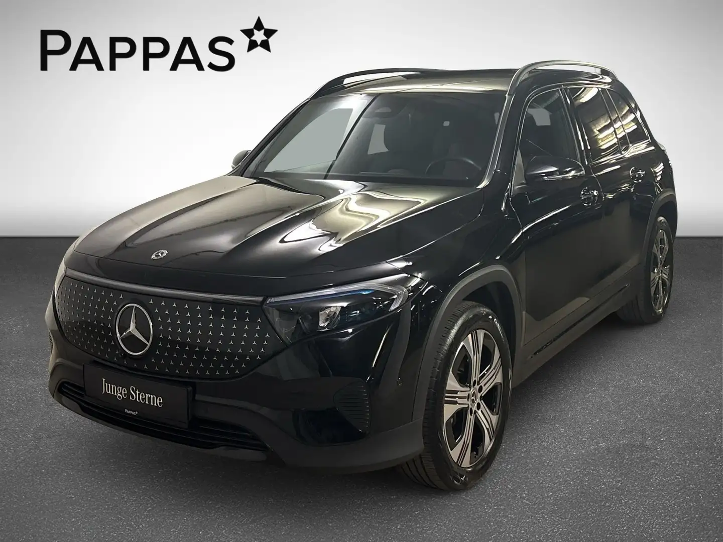 Mercedes-Benz EQB 350 4MATIC EASY-PACK Navi PTS SHZ LED AHK Schwarz - 2