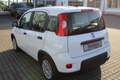 Fiat Panda 1,0 GSE / Klima, Einparkhilfe, Bluetooth, USB Weiß - thumbnail 3