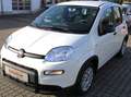 Fiat Panda 1,0 GSE / Klima, Einparkhilfe, Bluetooth, USB Weiß - thumbnail 2