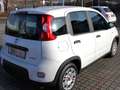 Fiat Panda 1,0 GSE / Klima, Einparkhilfe, Bluetooth, USB Weiß - thumbnail 4