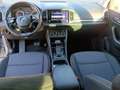 Skoda Karoq 4x4 Ambition TDI DSG Grau - thumbnail 11