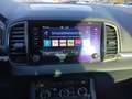 Skoda Karoq 4x4 Ambition TDI DSG Grau - thumbnail 16