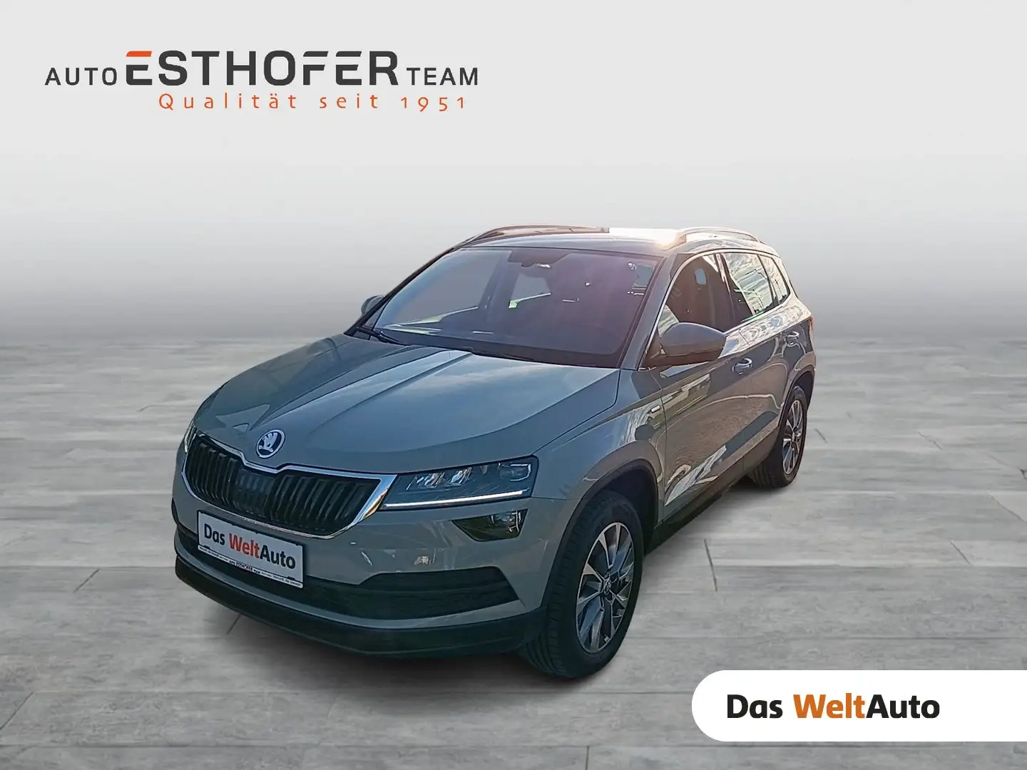 Skoda Karoq 4x4 Ambition TDI DSG Grau - 1