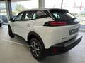 Peugeot 2008 2ª serie PureTech 100 S&S Active Bianco - thumbnail 6