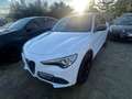 Alfa Romeo Stelvio Stelvio 2.2 t B-Tech Q4 210cv auto Bianco - thumbnail 4