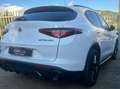 Alfa Romeo Stelvio Stelvio 2.2 t B-Tech Q4 210cv auto Bianco - thumbnail 7