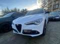 Alfa Romeo Stelvio Stelvio 2.2 t B-Tech Q4 210cv auto Bianco - thumbnail 2
