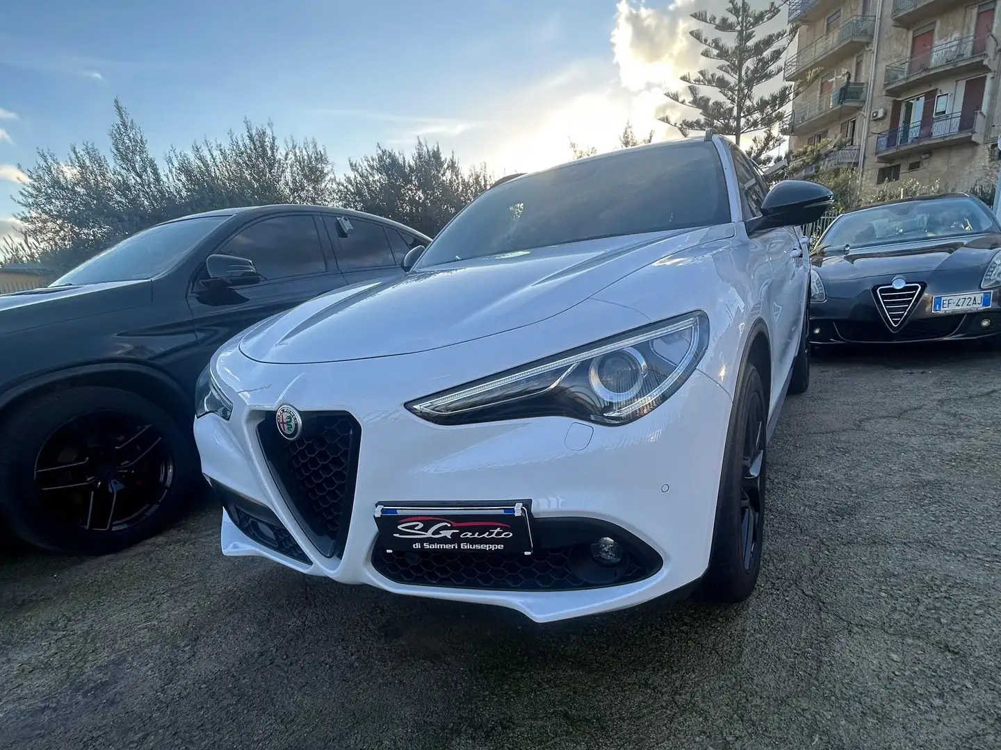 Alfa Romeo Stelvio Stelvio 2.2 t B-Tech Q4 210cv auto Bianco - 2