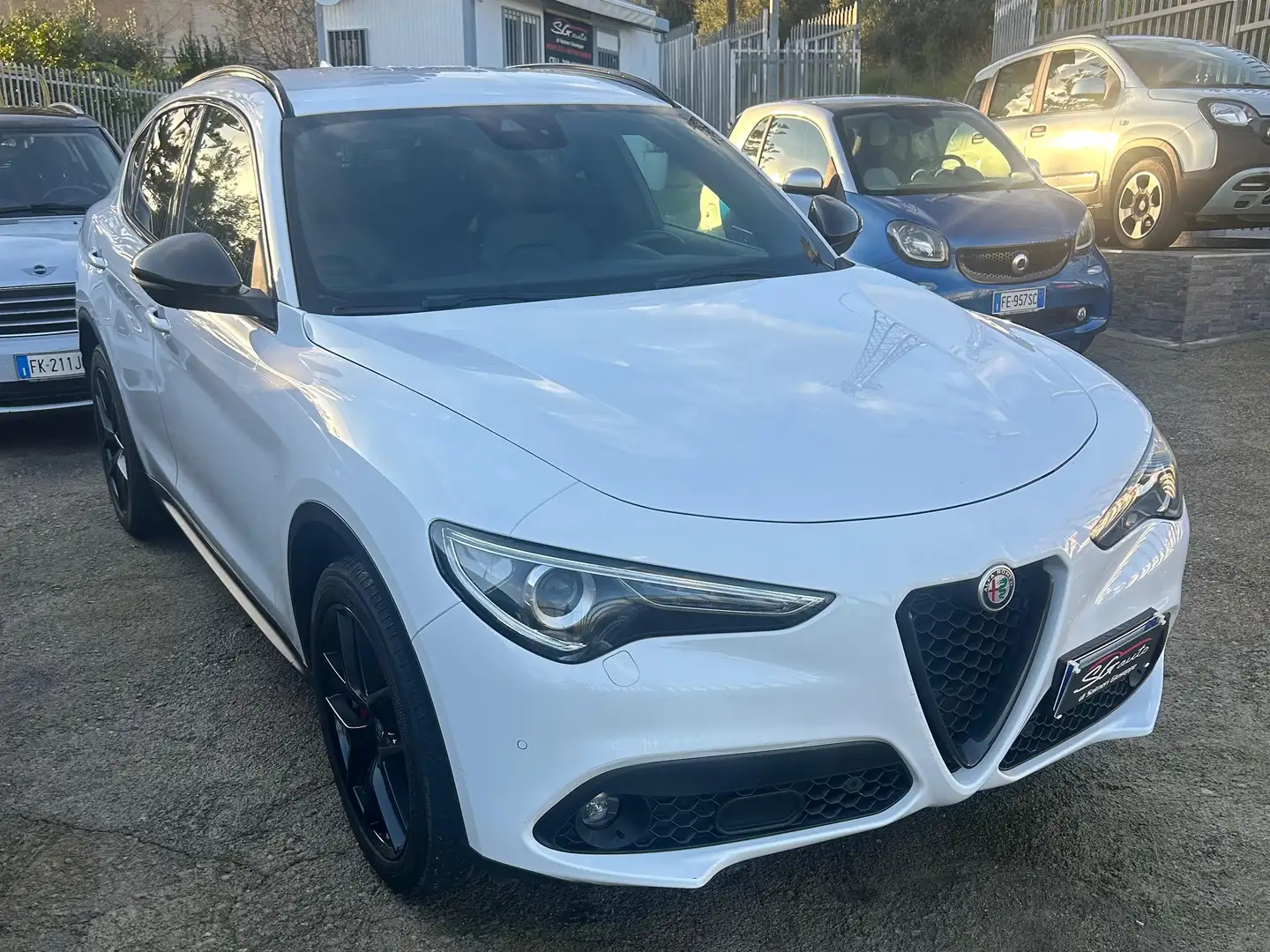 Alfa Romeo Stelvio Stelvio 2.2 t B-Tech Q4 210cv auto Bianco - 1
