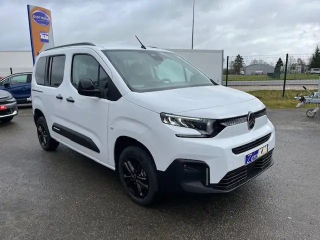 Citroen Berlingo view 2