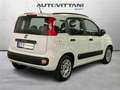 Fiat Panda 1.2 Lounge 69cv E6 5 p. Wit - thumbnail 3
