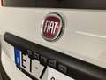 Fiat Panda 1.2 Lounge 69cv E6 5 p. Wit - thumbnail 23