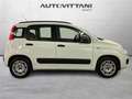 Fiat Panda 1.2 Lounge 69cv E6 5 p. Wit - thumbnail 5