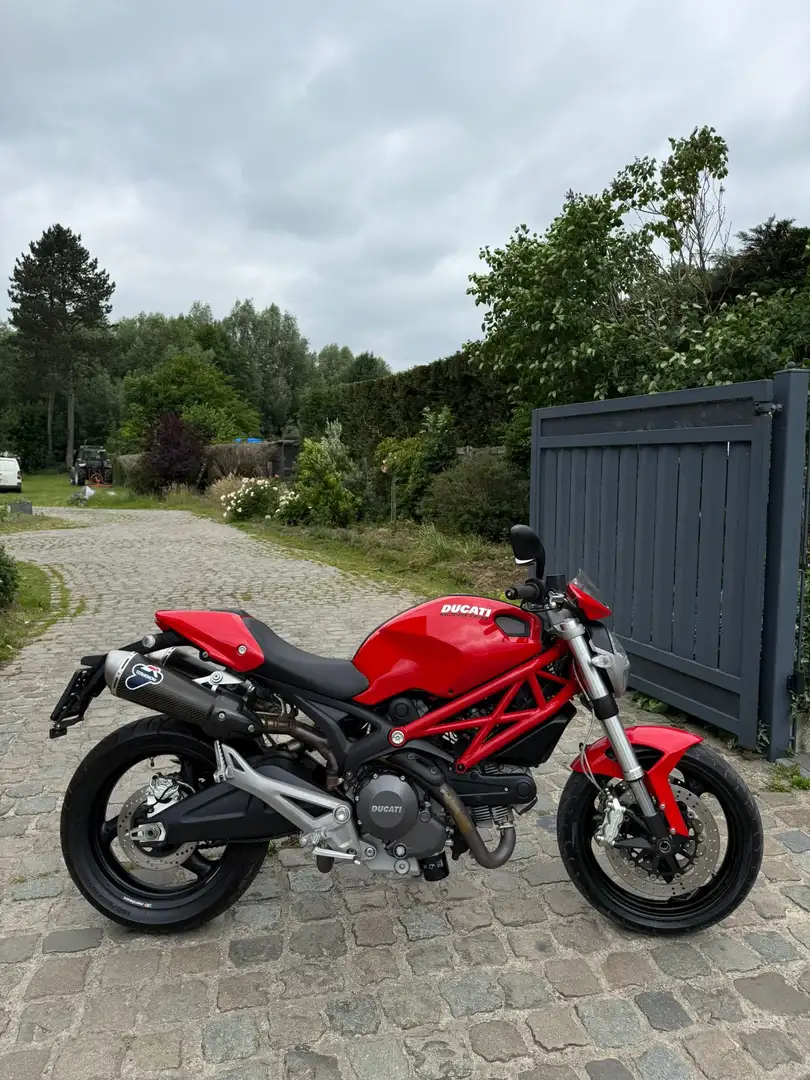 Ducati Monster 696 *Termignoni* @AelbrechtMotors Rouge - 1