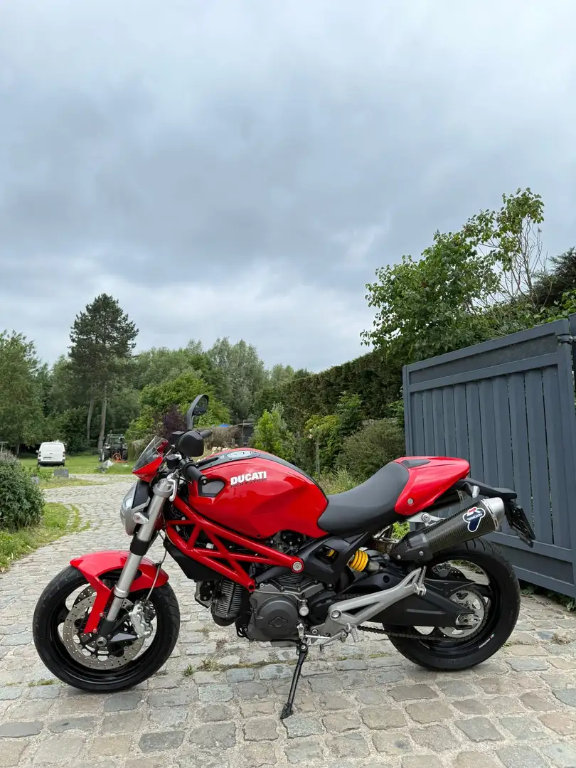 Ducati Monster 696 *Termignoni* @AelbrechtMotors Rouge - 2
