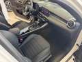Alfa Romeo Tonale 1.6 diesel 130 CV TCT6 Sprint Bianco - thumbnail 12