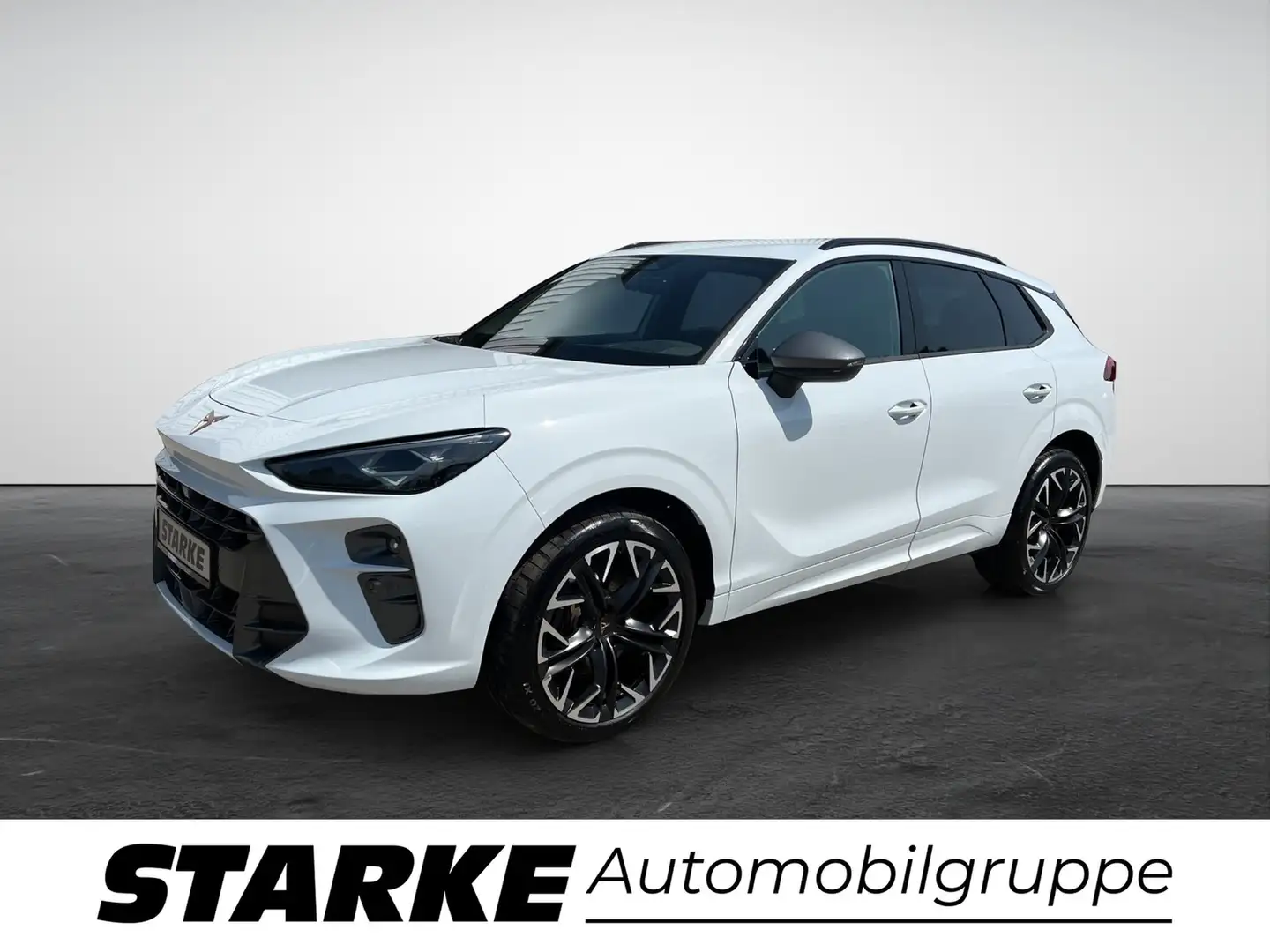 CUPRA Terramar VZ 2.0 TSI DSG 4Drive Weiß - 2