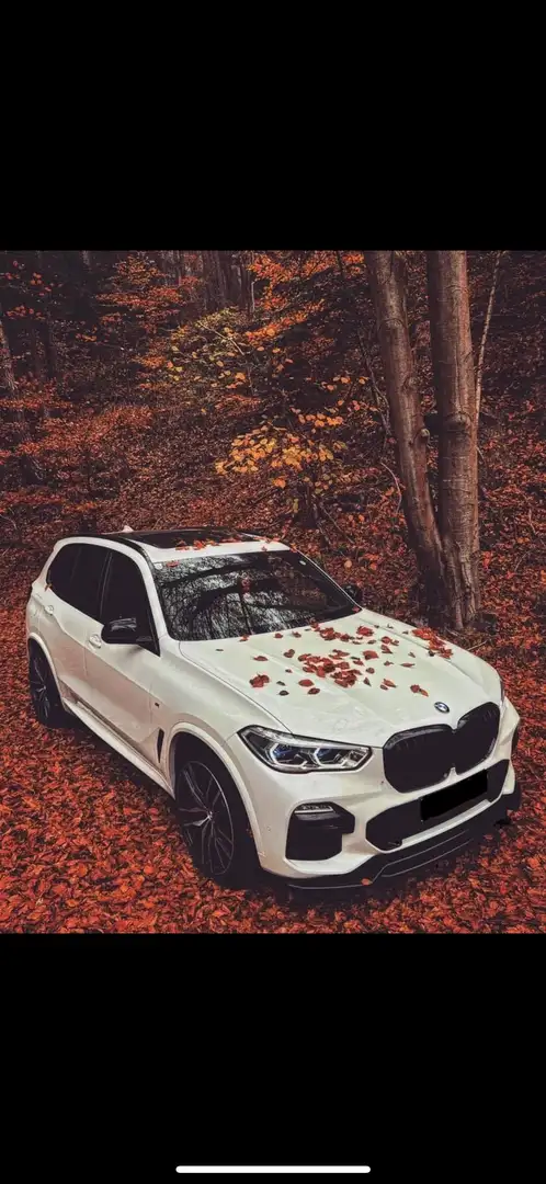 BMW X5 xDrive30d Aut. - 1