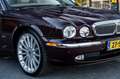 Daimler Super V8 8 4.2 Supercharged LWB - thumbnail 9