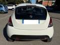 Lancia Ypsilon 1.2 Gpl - NEOPATENTATI - 12 MESI DI GARANZIA - Bianco - thumbnail 3