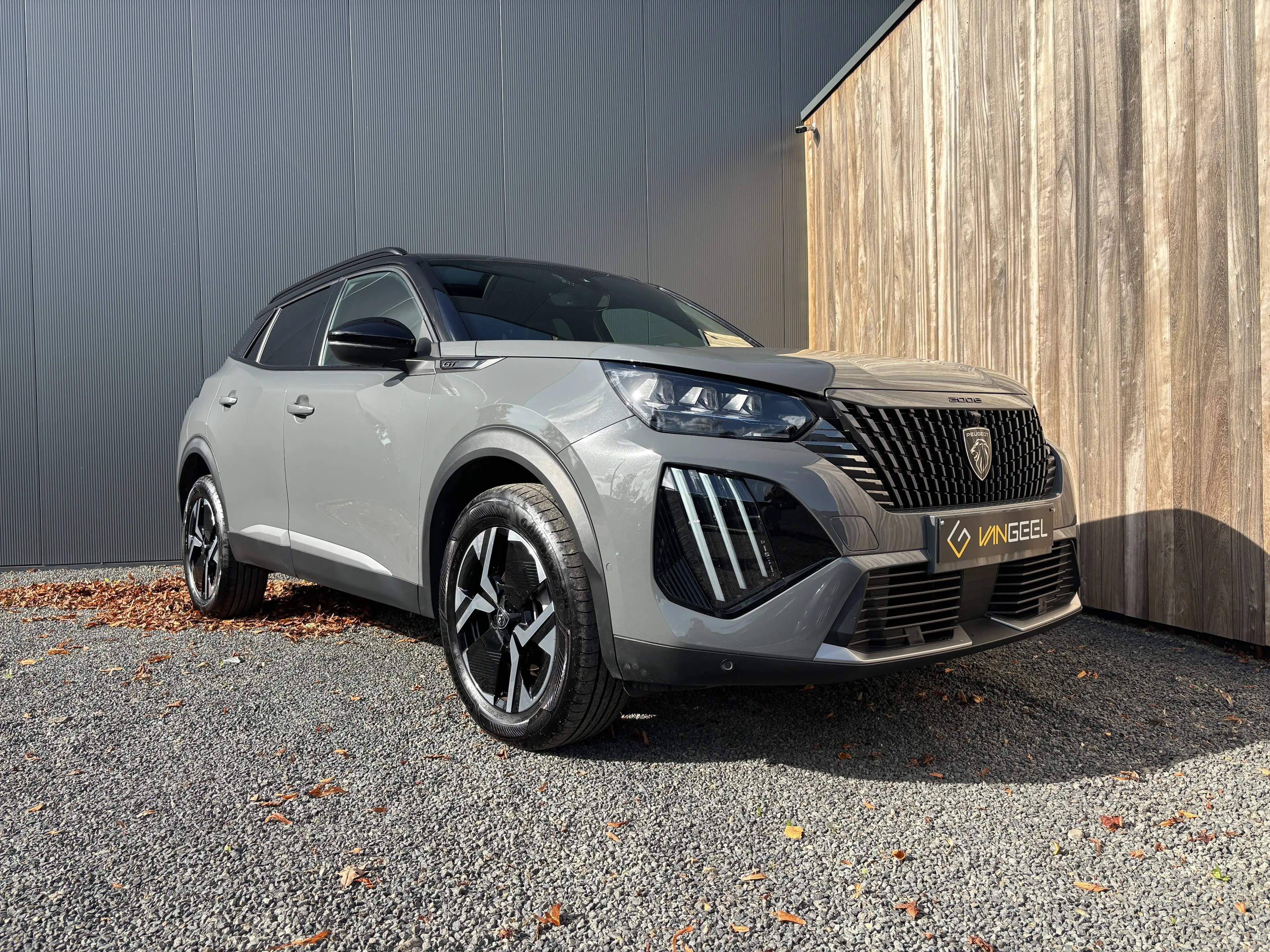 Peugeot 2008 2008 1.2 PureTech GT S — photo 8