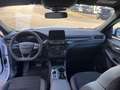 Ford Kuga 2,0 EcoBlue ST-Line X Aut. Blanc - thumbnail 6