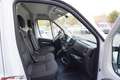 Citroen Jumper Kastenwagen 35+ L2H2 140 Weiß - thumbnail 3