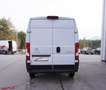 Citroen Jumper Kastenwagen 35+ L2H2 140 Weiß - thumbnail 11