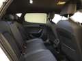 CUPRA Leon Leon 1.5 Hybrid 150 CV DSG Bianco - thumbnail 9