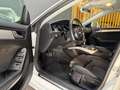 Audi A5 Sportback 3.0 TDI 245cv quattro S tronic Weiß - thumbnail 12