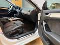 Audi A5 Sportback 3.0 TDI 245cv quattro S tronic Weiß - thumbnail 18