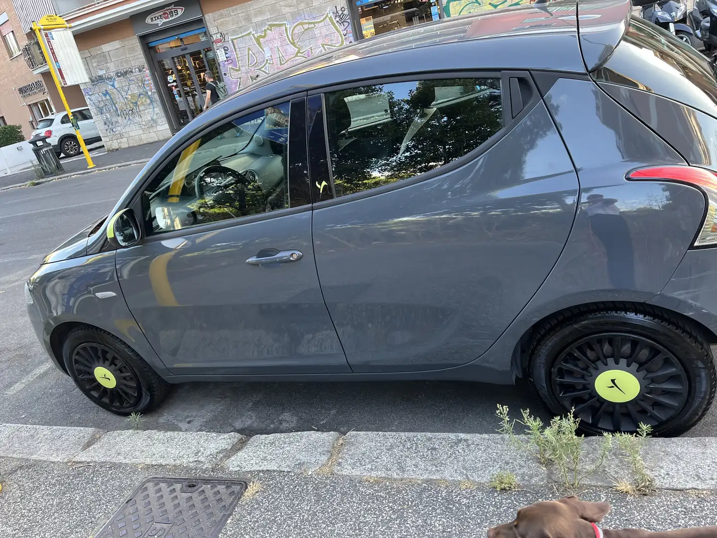 Lancia Ypsilon 1.3 mjt Elefantino s&s 95cv - 2