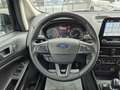 Ford EcoSport 1.0 EcoBoost 125 CV Start&Stop Titanium Nero - thumbnail 10