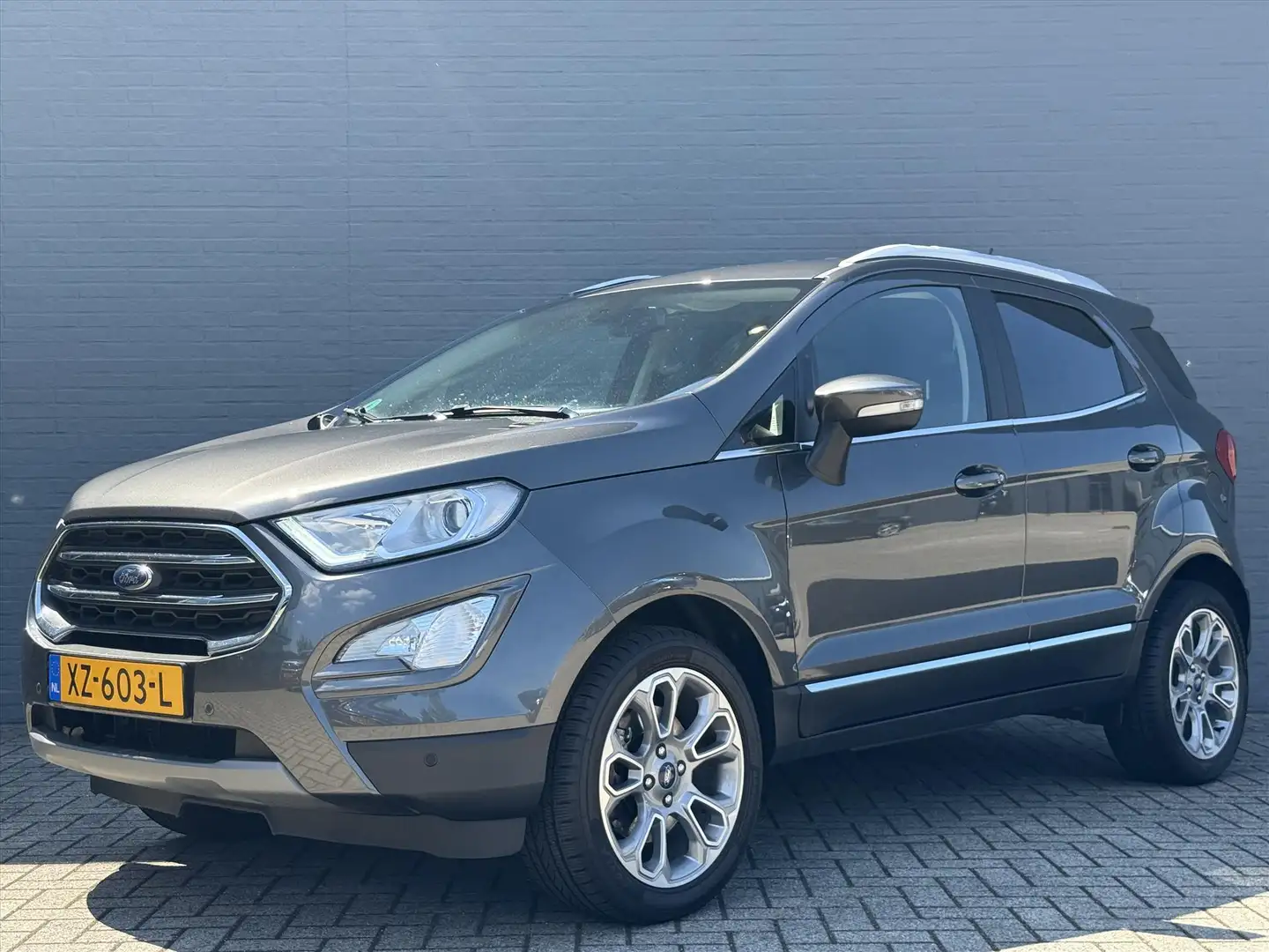 Ford EcoSport 1.0 EcoBoost 125pk Titanium | All Season Banden | Grijs - 2