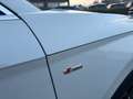 Audi Q5 Q5 II 35 2.0 tdi mhev 12V S line Plus s-tronic Weiß - thumbnail 11