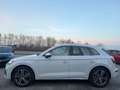 Audi Q5 Q5 II 35 2.0 tdi mhev 12V S line Plus s-tronic Weiß - thumbnail 5