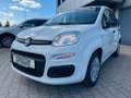 Fiat Panda 1.0 Hybrid Blanc - thumbnail 3